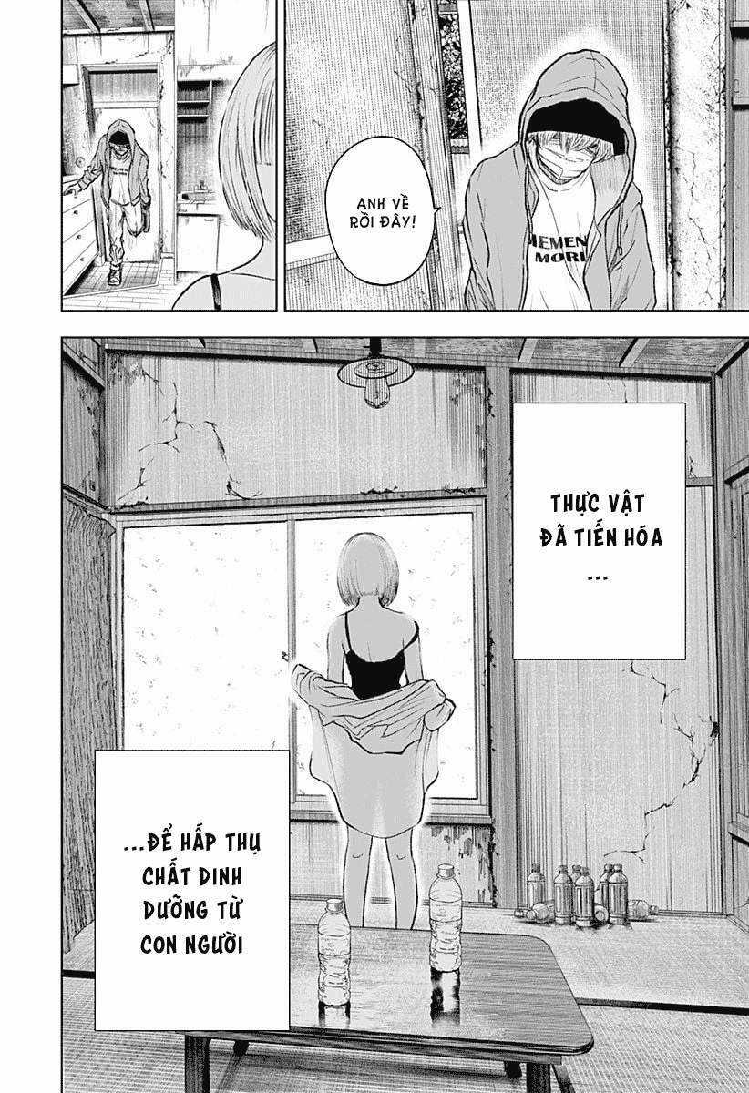 wild strawberry Chapter 1 trang 7