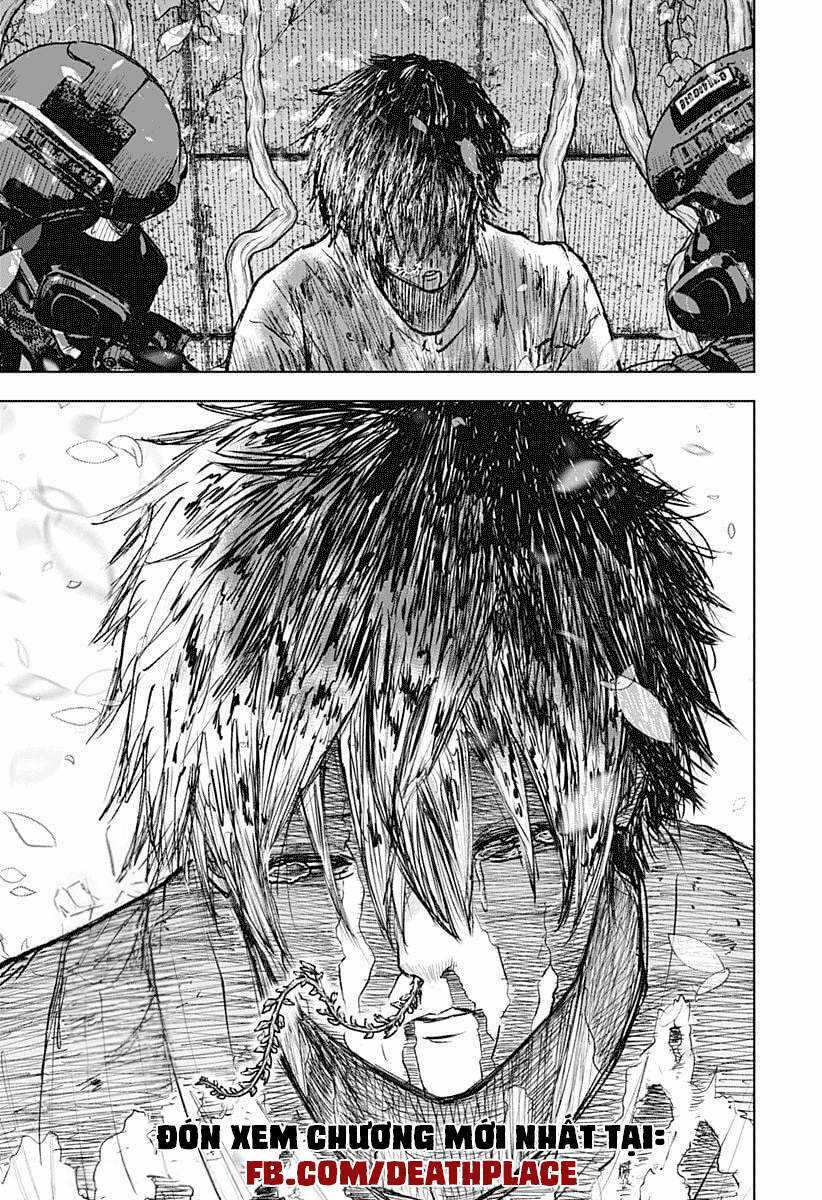 wild strawberry Chapter 1 trang 79