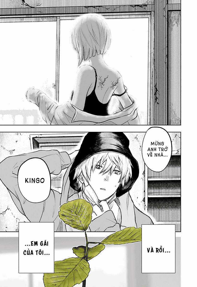 wild strawberry Chapter 1 trang 8