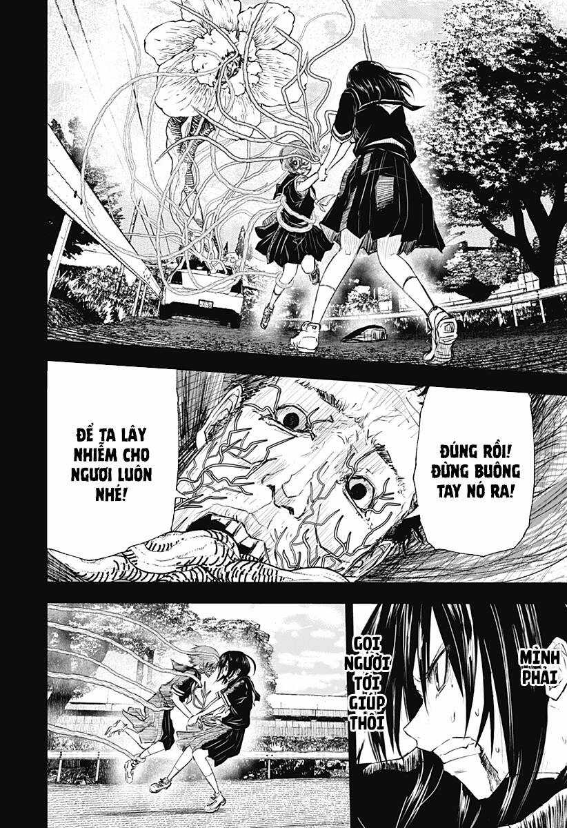 wild strawberry Chapter 10 trang 4