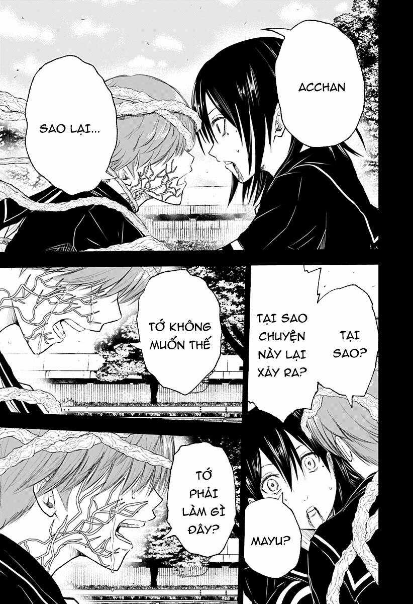 wild strawberry Chapter 10 trang 5