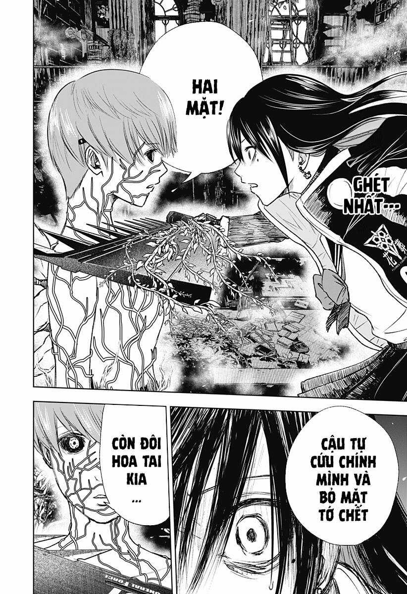 wild strawberry Chapter 11 trang 2