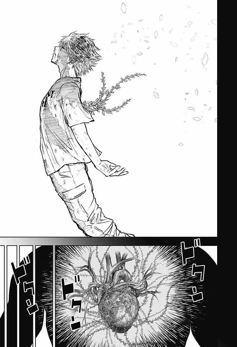wild strawberry Chapter 2 trang 14