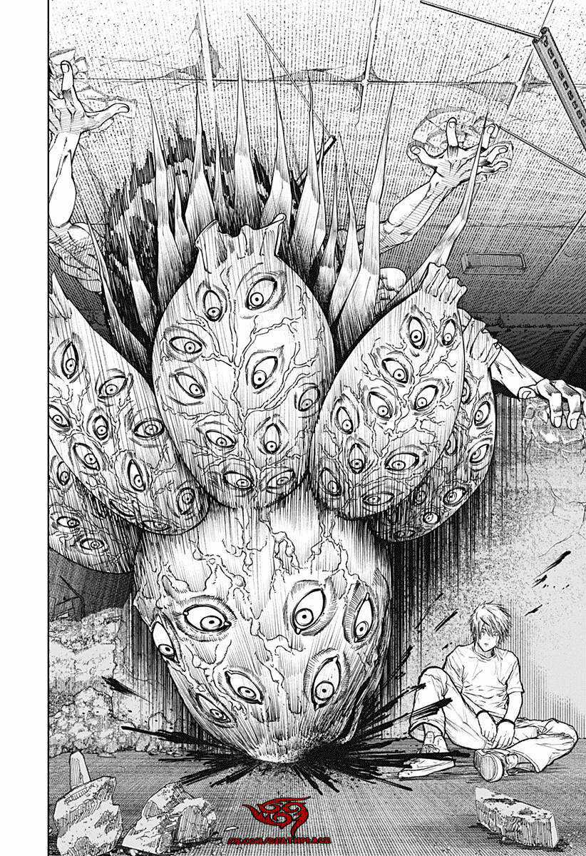 wild strawberry Chapter 2 trang 35