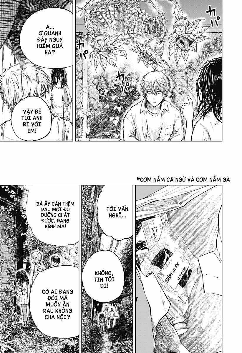 wild strawberry Chapter 3 trang 20