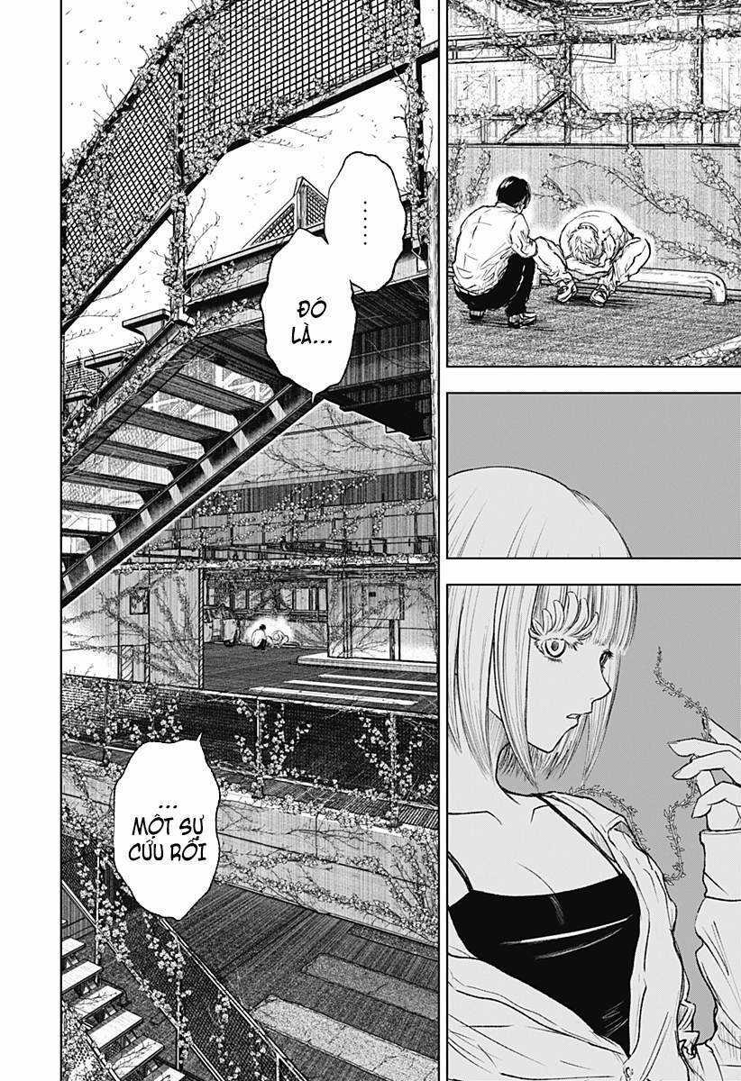 wild strawberry Chapter 3 trang 9