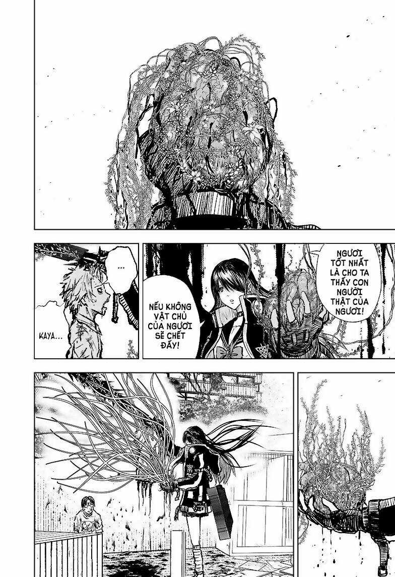 wild strawberry Chapter 4 trang 27