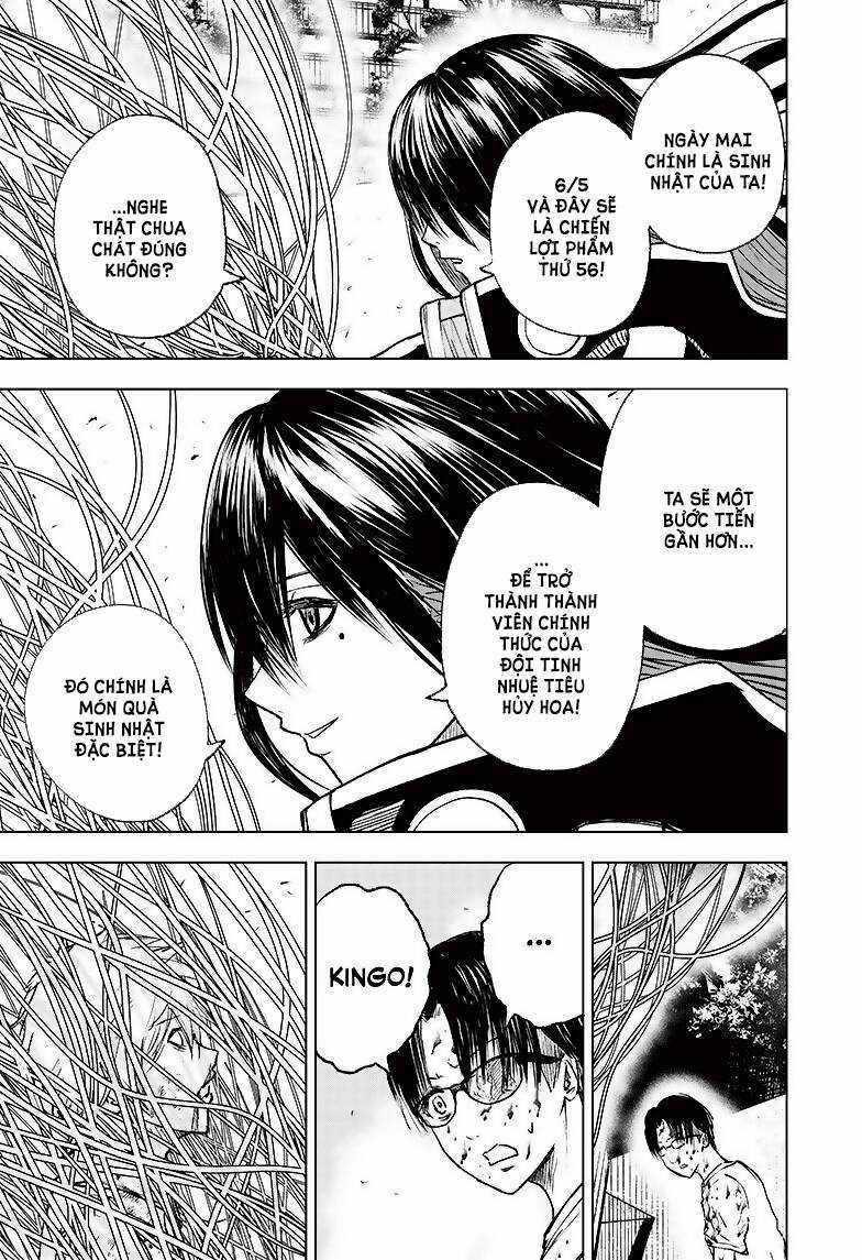 wild strawberry Chapter 4 trang 28