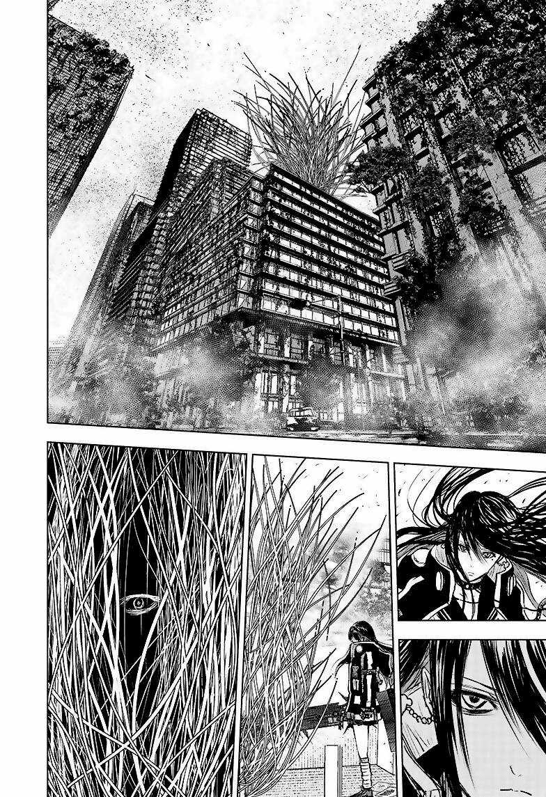 wild strawberry Chapter 4 trang 29