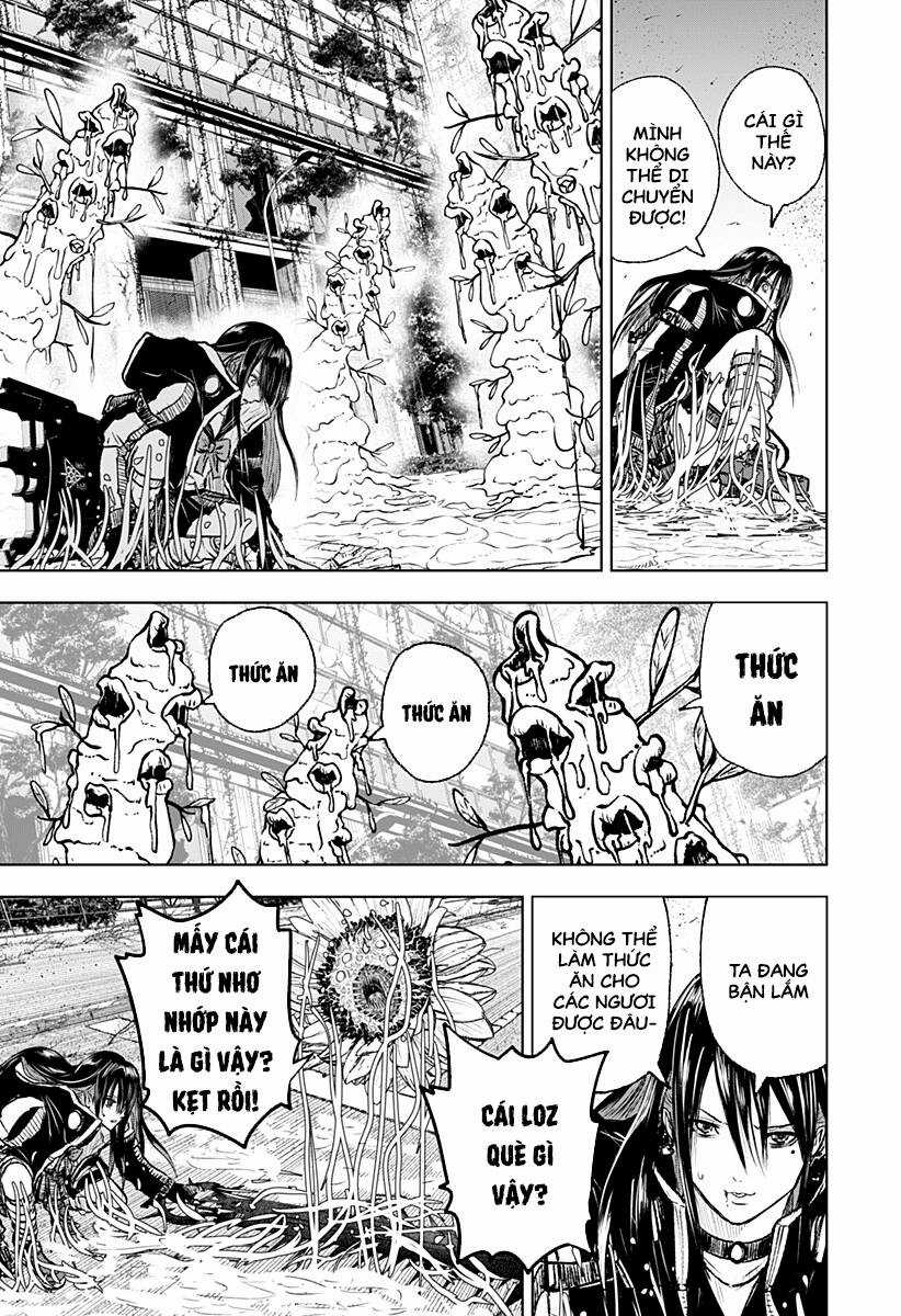 wild strawberry Chapter 5 trang 11