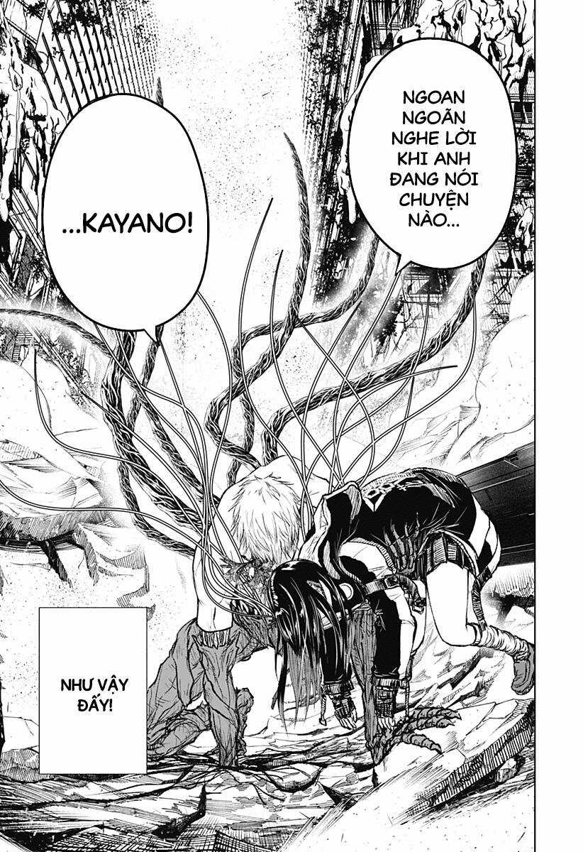 wild strawberry Chapter 5 trang 21