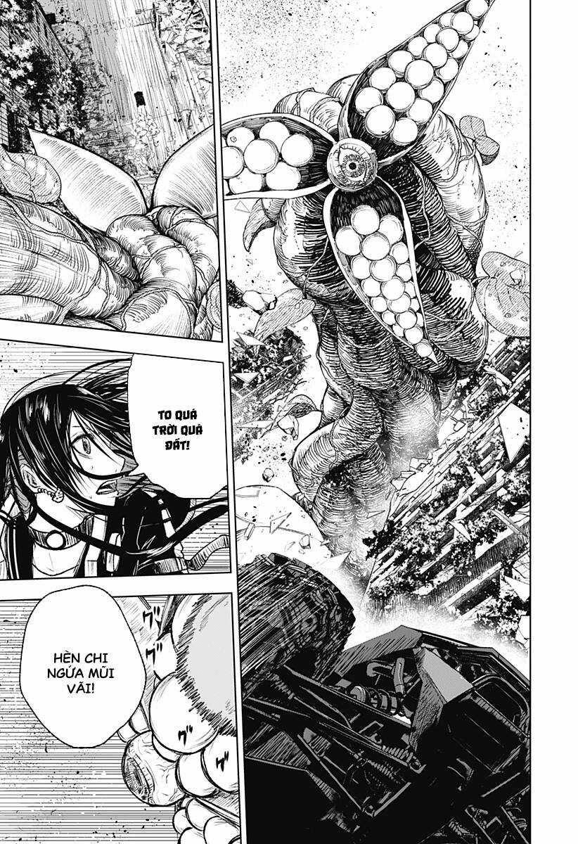 wild strawberry Chapter 6 trang 14