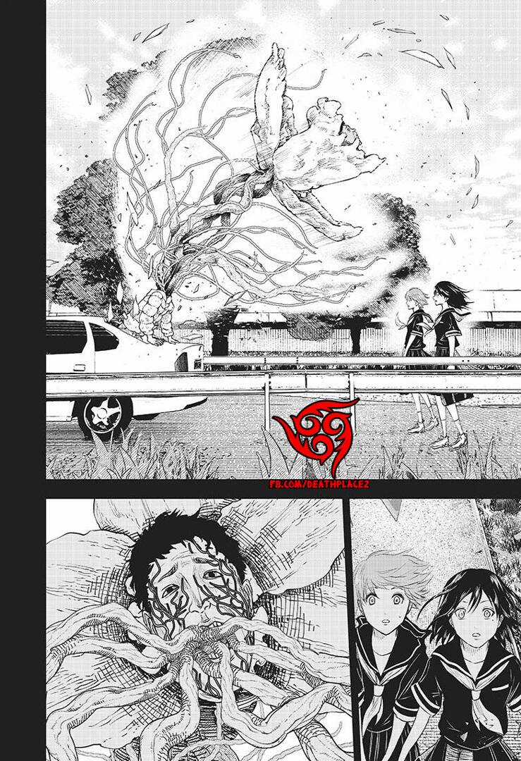 wild strawberry Chapter 9 trang 18