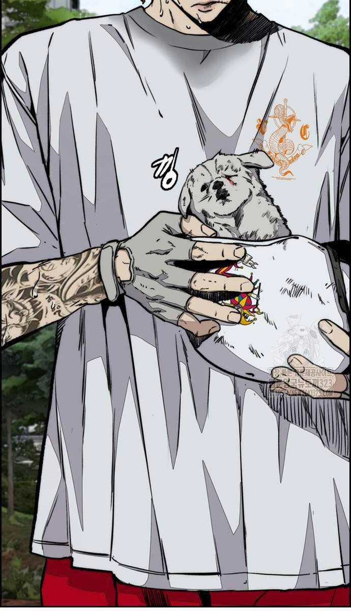 Wind Breaker Chapter 483 trang 139