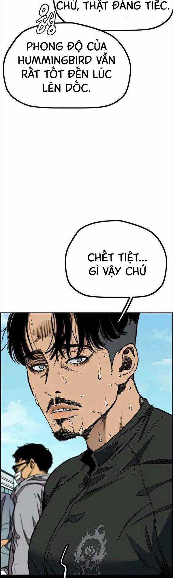 Wind Breaker Chapter 484 trang 18