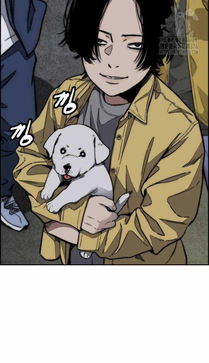 Wind Breaker Chapter 487 trang 50