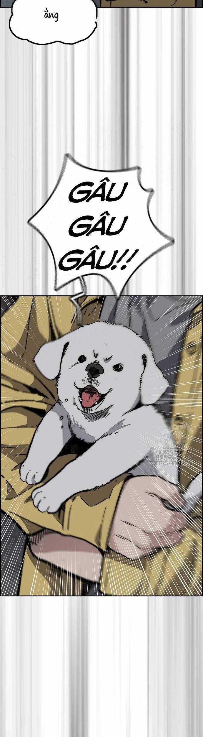 Wind Breaker Chapter 488 trang 52