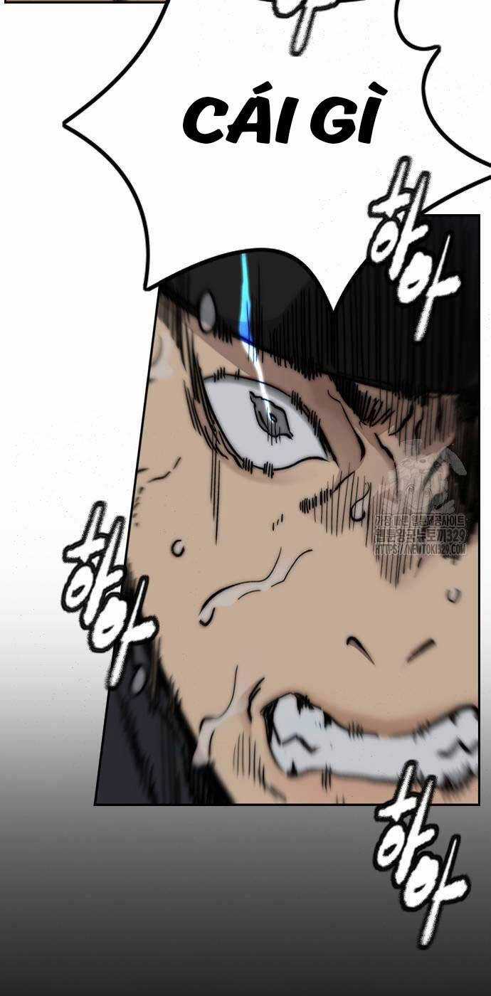 Wind Breaker Chapter 491 trang 24