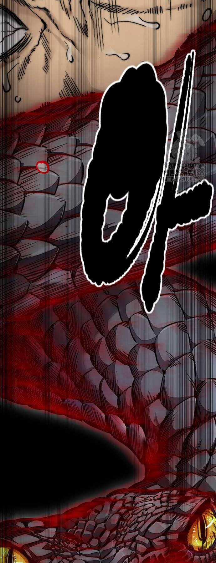 Wind Breaker Chapter 491 trang 55