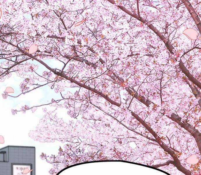 Wind Breaker Chapter 496.5 trang 22