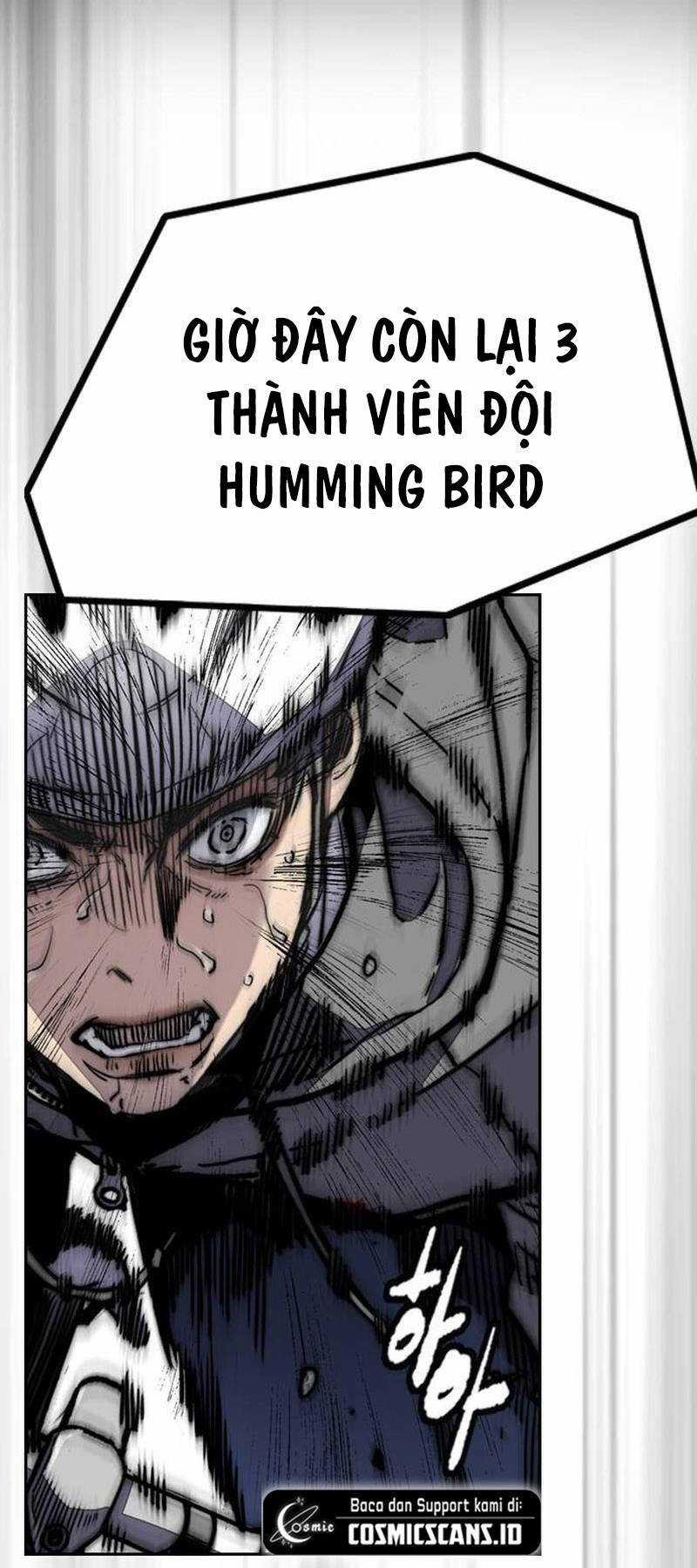 Wind Breaker Chapter 498 trang 71