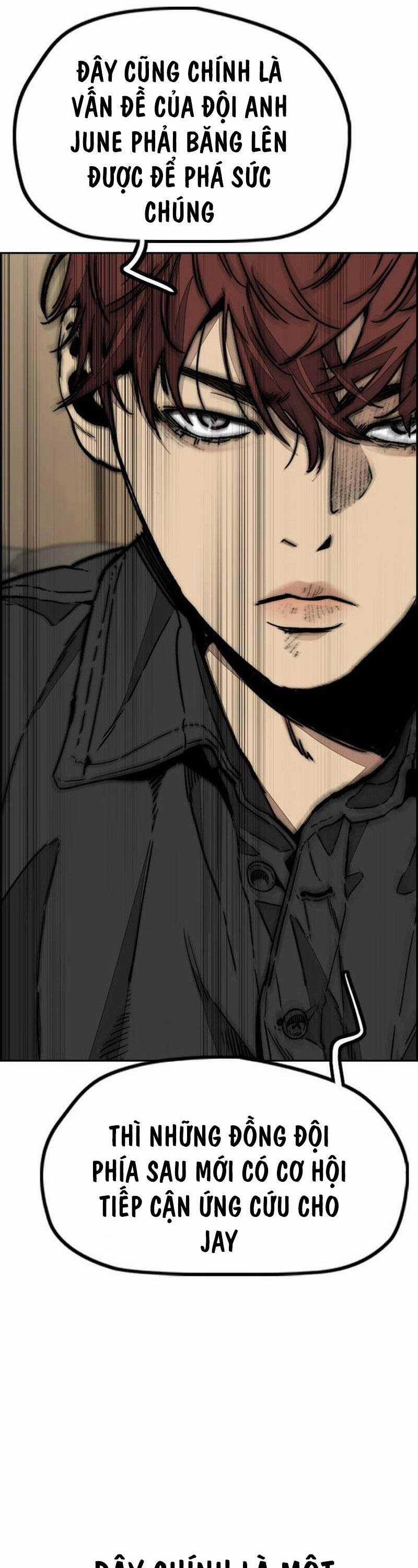 Wind Breaker Chapter 499 trang 45