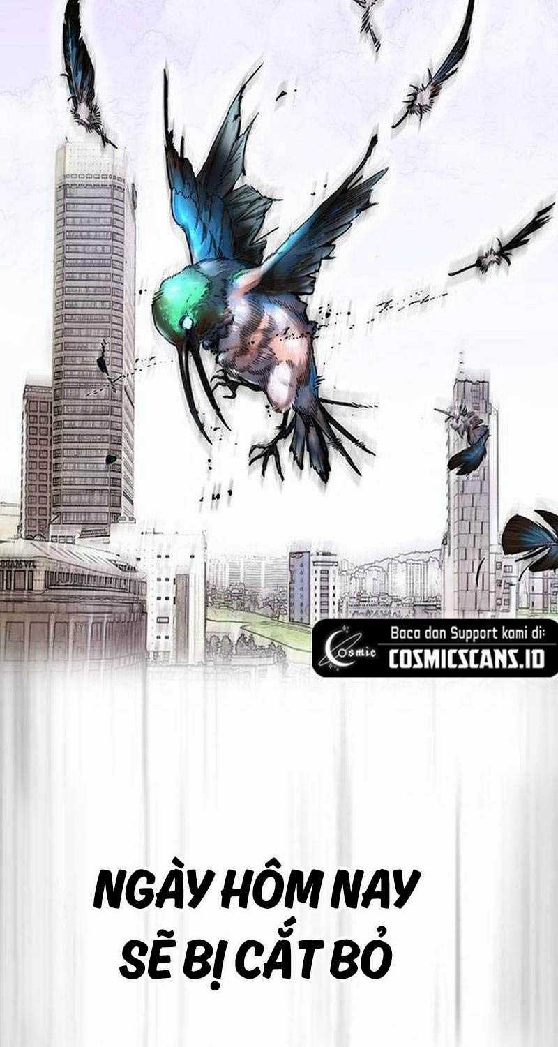 Wind Breaker Chapter 500 trang 36
