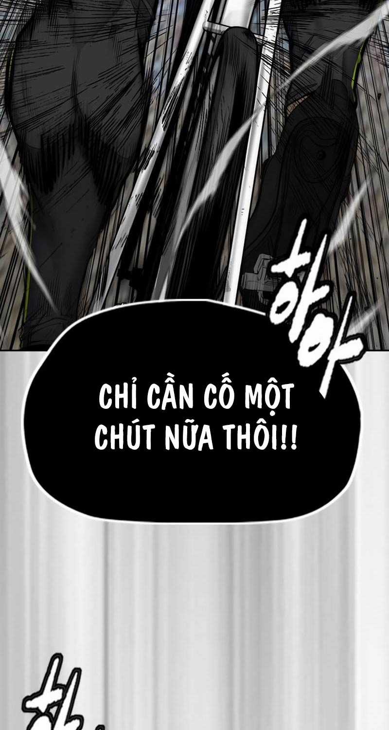 Wind Breaker Chapter 501 trang 114