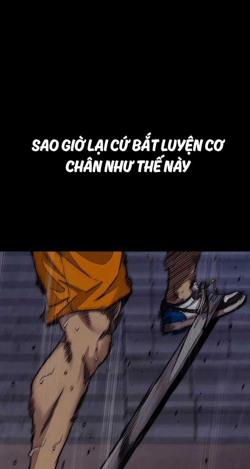 Wind Breaker Chapter 502 trang 23