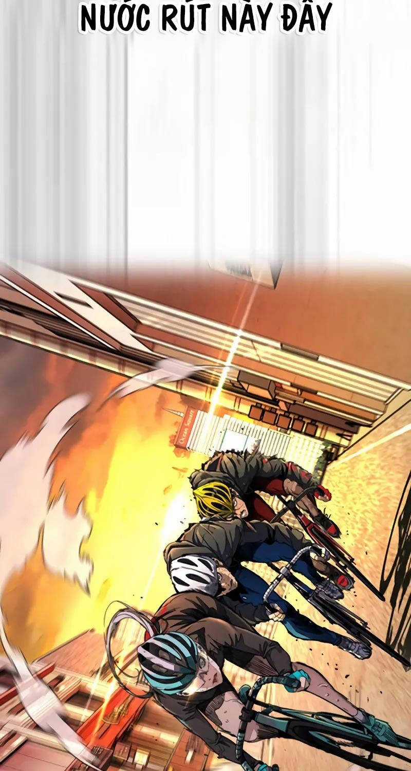 Wind Breaker Chapter 503 trang 203