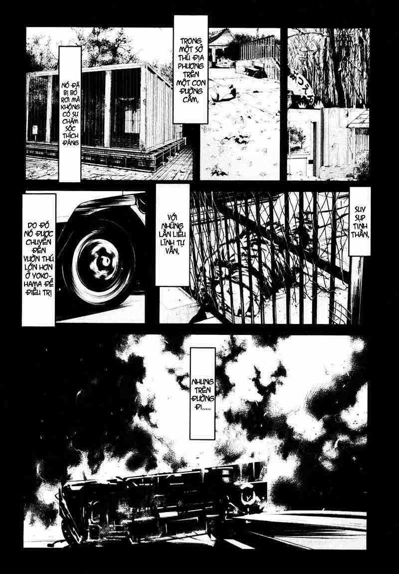 Wolf Guy - Wolfen Crest Chapter 18 trang 11