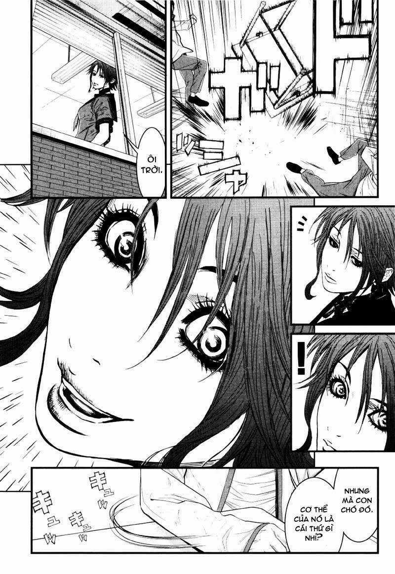 Wolf Guy - Wolfen Crest Chapter 19 trang 13