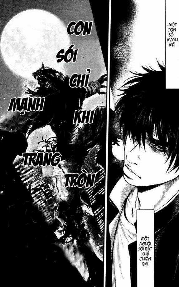 Wolf Guy - Wolfen Crest Chapter 28 trang 2