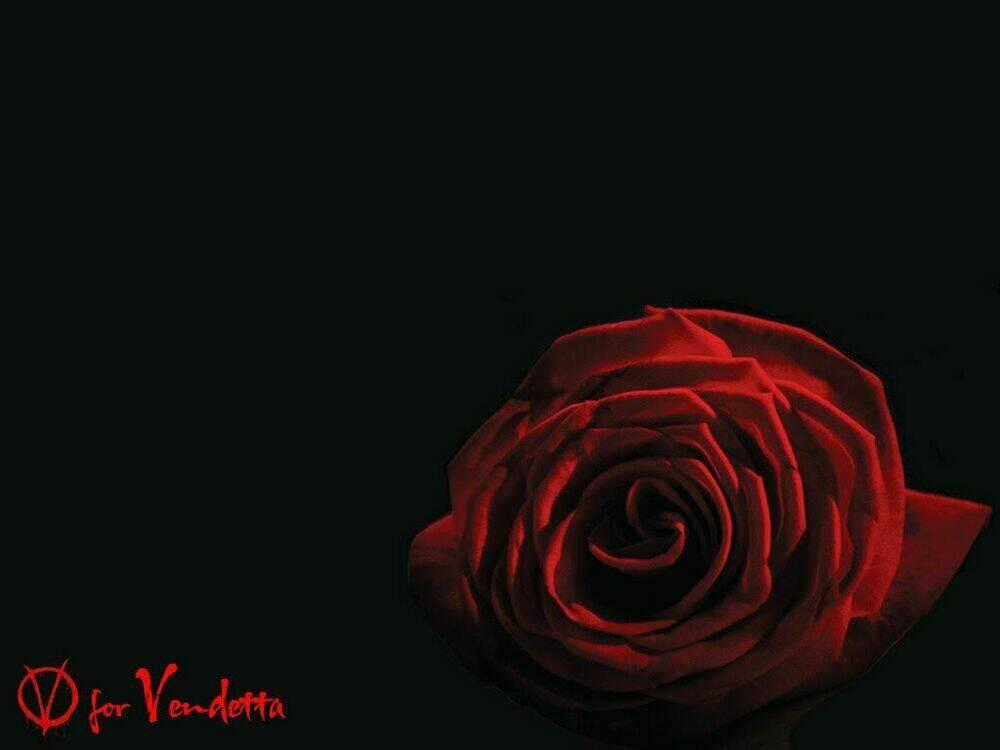 Wolf Guy - Wolfen Crest Chapter 81 trang 21