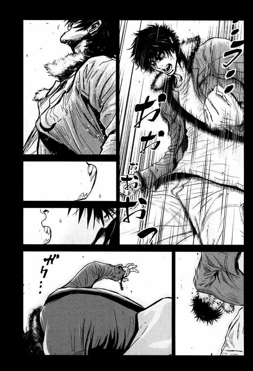 Wolf Guy - Wolfen Crest Chapter 84 trang 22