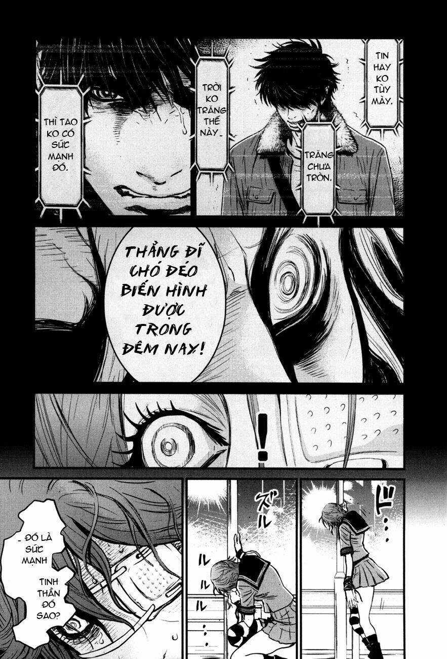 Wolf Guy - Wolfen Crest Chapter 87 trang 16