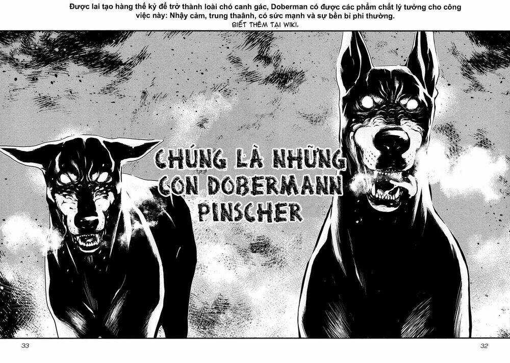 Wolf Guy - Wolfen Crest Chapter 89 trang 10