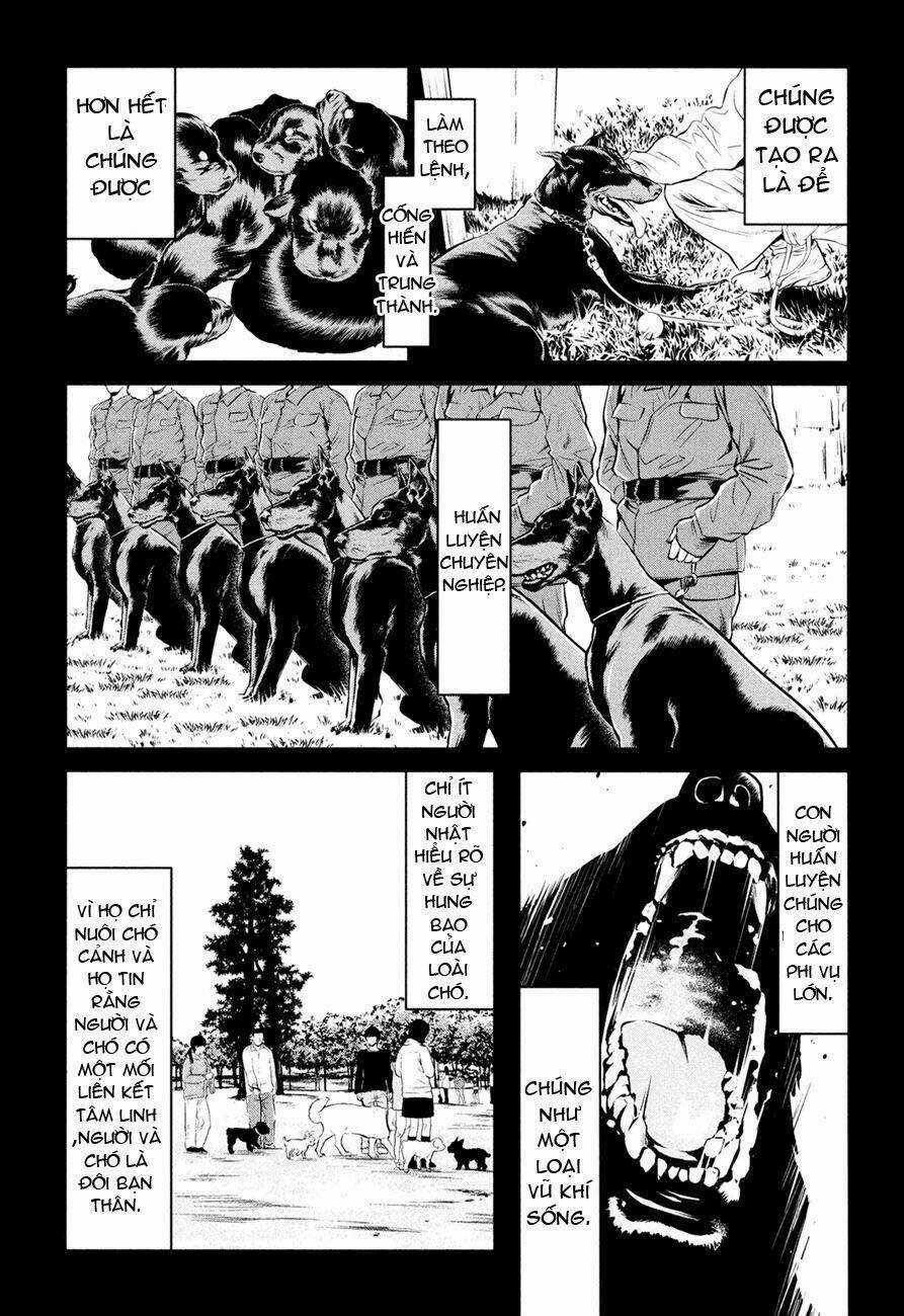 Wolf Guy - Wolfen Crest Chapter 89 trang 11