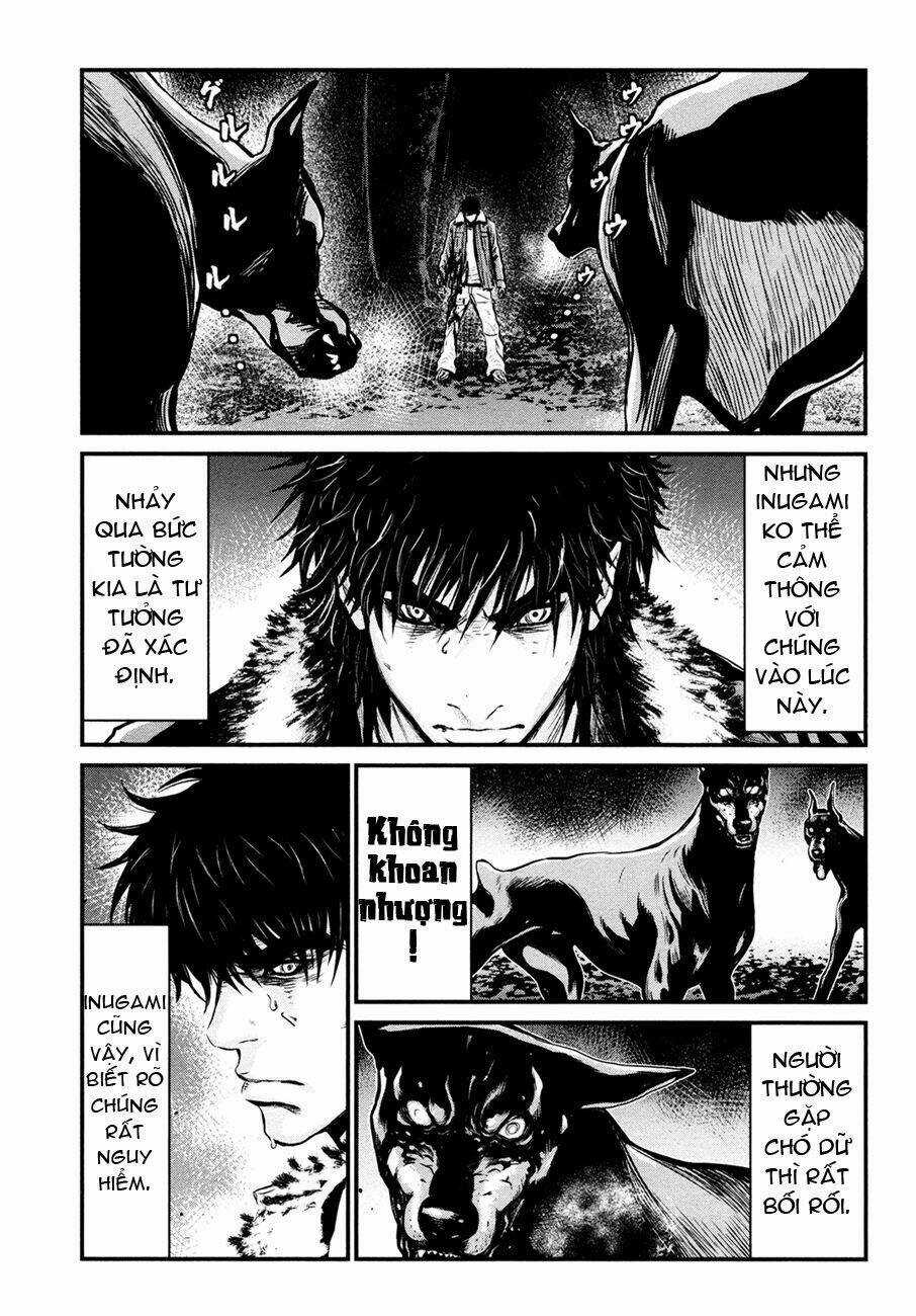 Wolf Guy - Wolfen Crest Chapter 89 trang 13