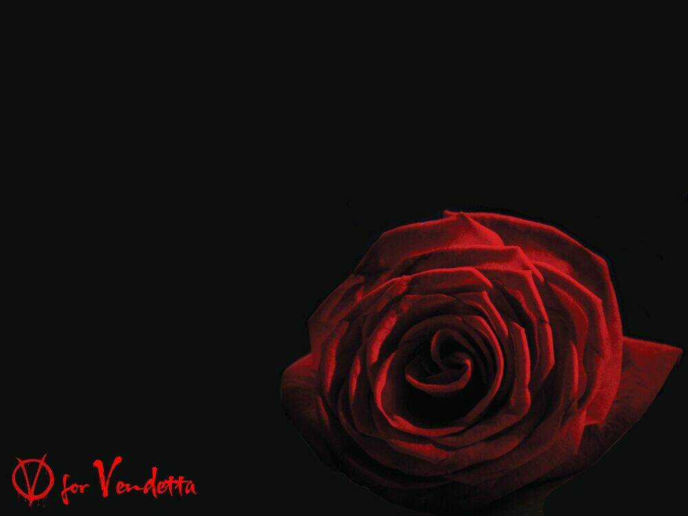 Wolf Guy - Wolfen Crest Chapter 89 trang 2