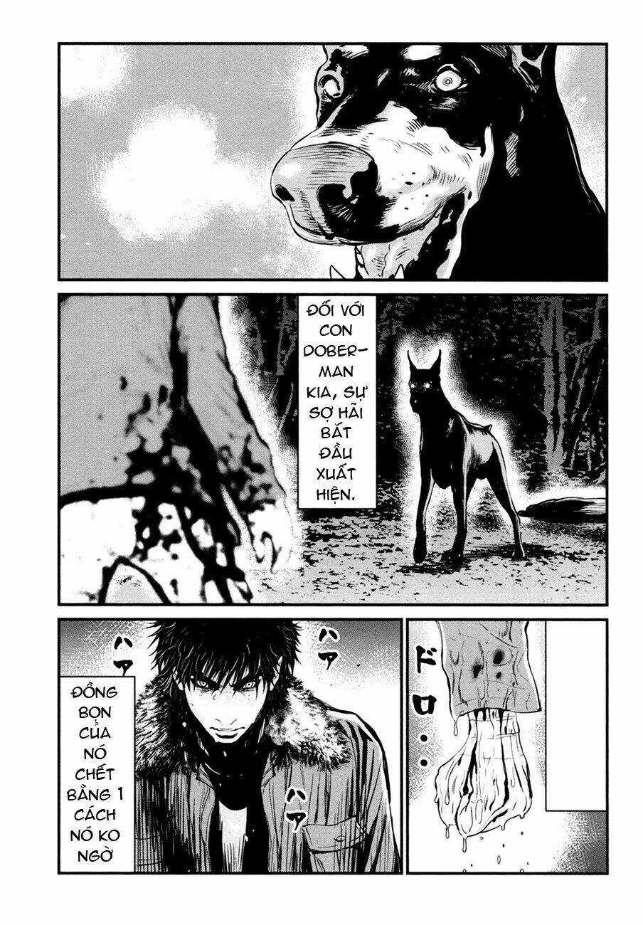 Wolf Guy - Wolfen Crest Chapter 89 trang 20