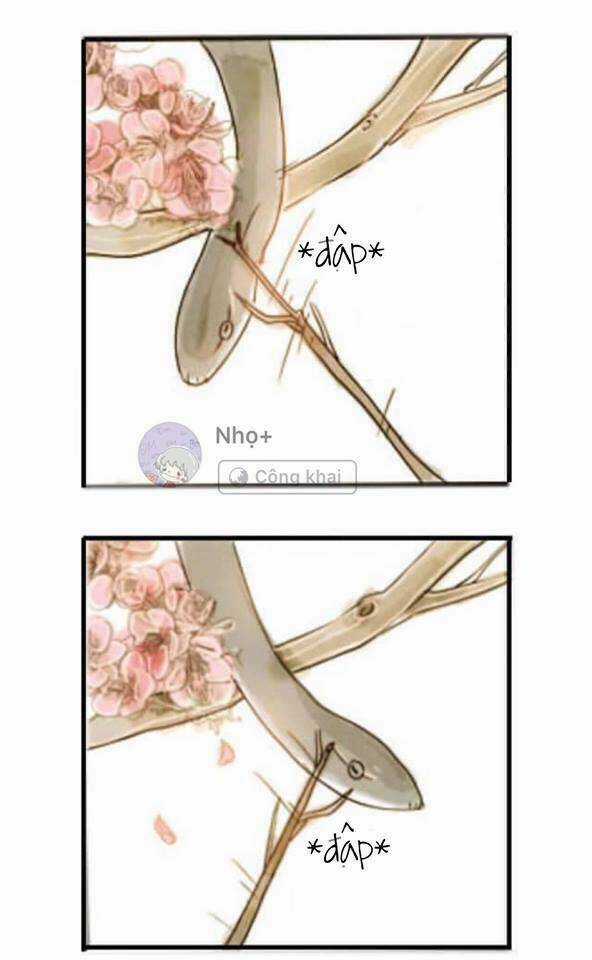 Xà Yêu Và A Bảo Chapter 1 trang 4