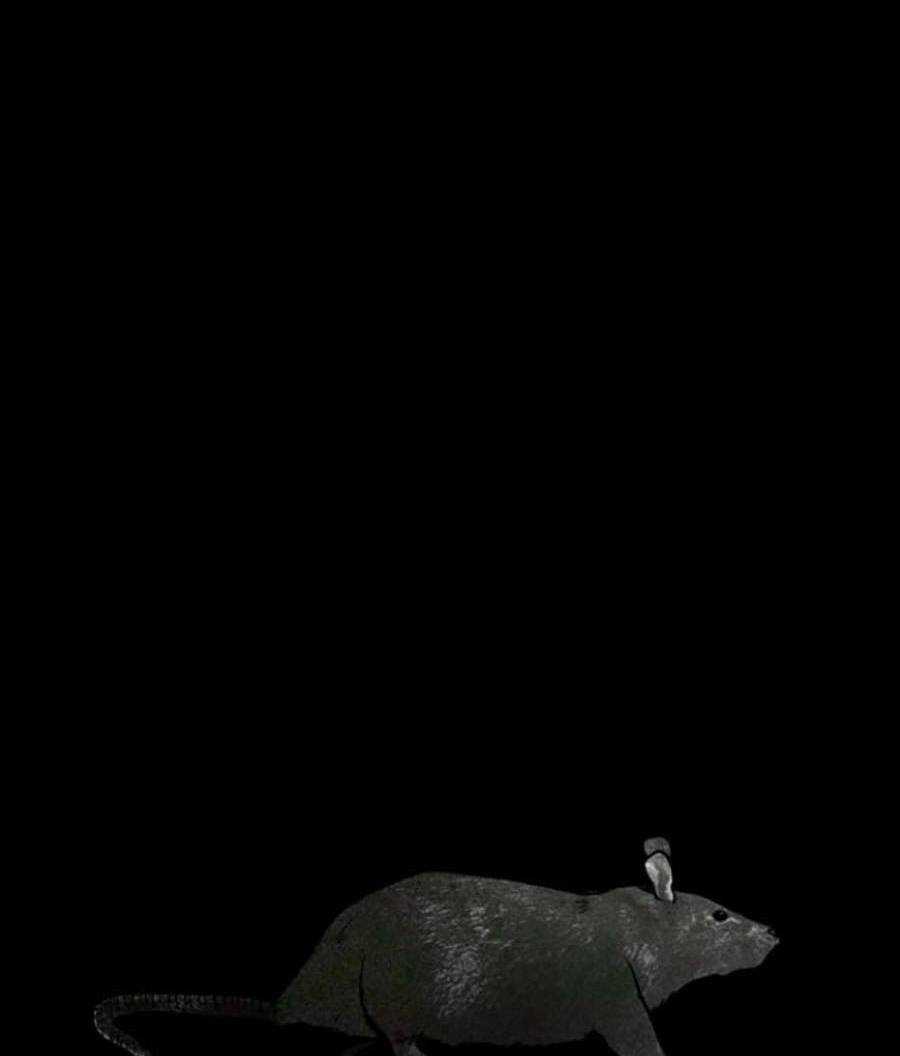 Xây Dựng Địa Ngục Chapter 2 trang 98