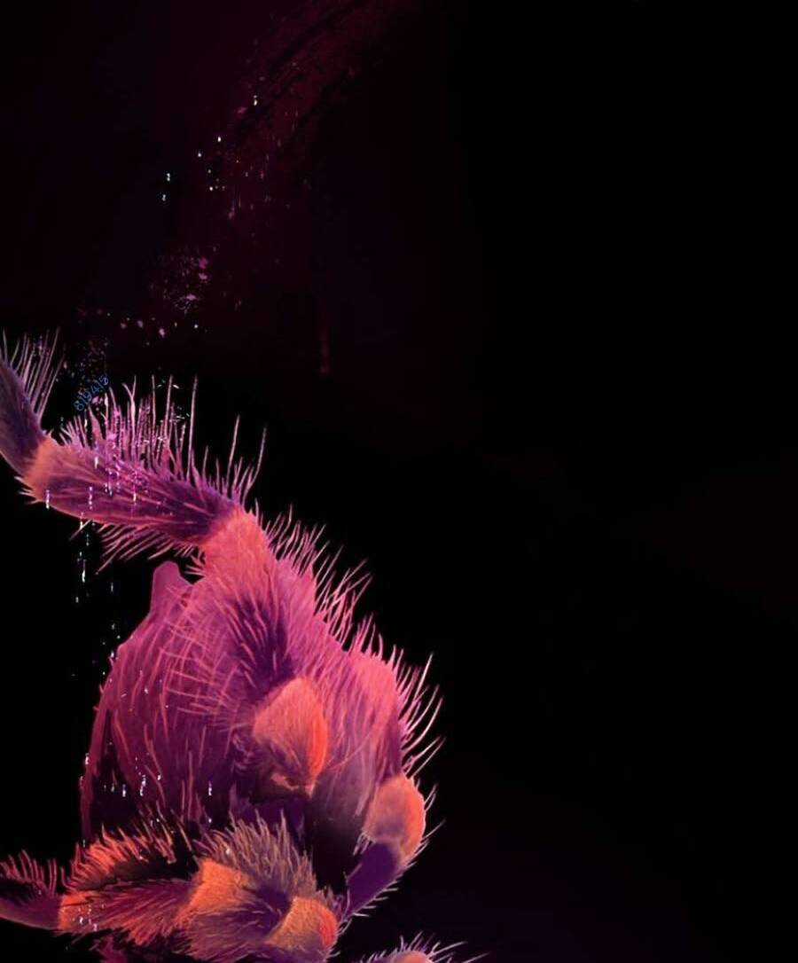 Xây Dựng Địa Ngục Chapter 5 trang 117