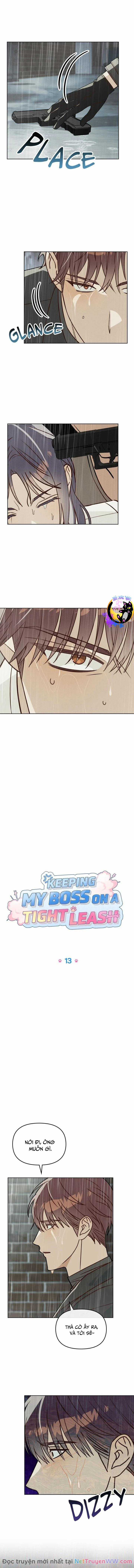 Xích Chặt Ông Chủ Của Tôi Chapter 13 trang 3