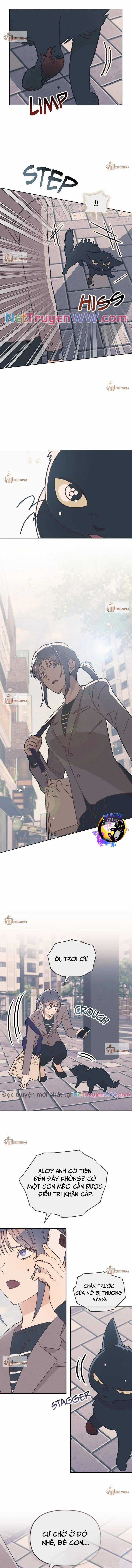 Xích Chặt Ông Chủ Của Tôi Chapter 19 trang 4