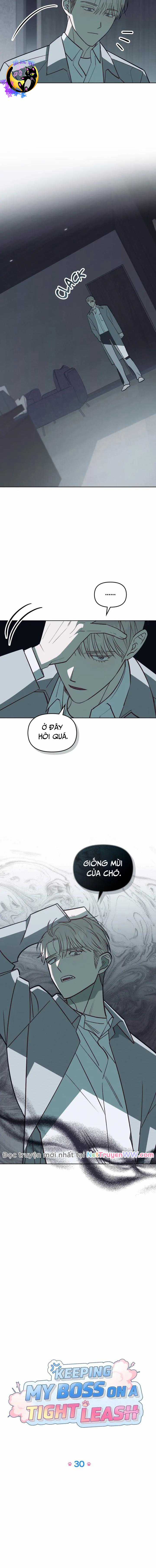 Xích Chặt Ông Chủ Của Tôi Chapter 30 trang 5