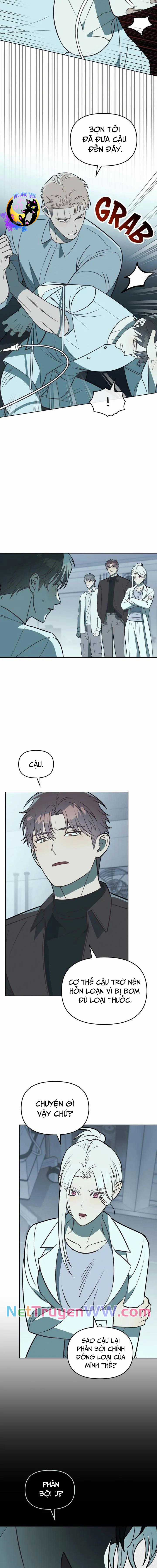 Xích Chặt Ông Chủ Của Tôi Chapter 31 trang 6