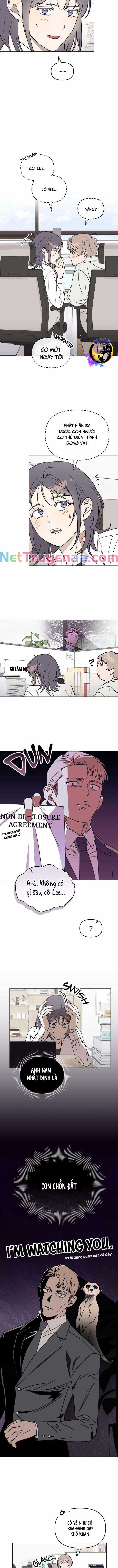 Xích Chặt Ông Chủ Của Tôi Chapter 5 trang 8