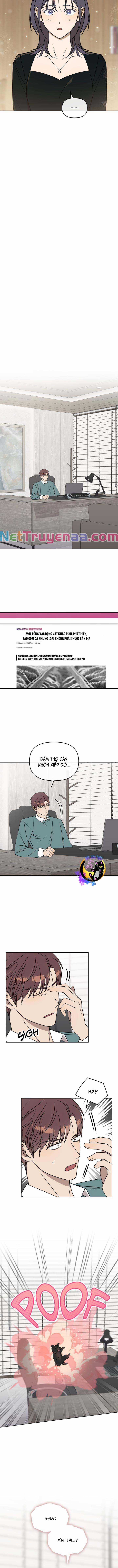 Xích Chặt Ông Chủ Của Tôi Chapter 6 trang 8